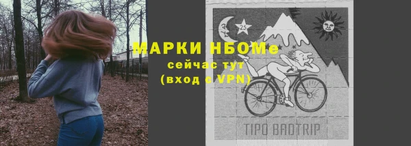 сатива Армянск