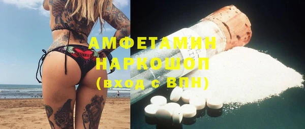 сатива Армянск