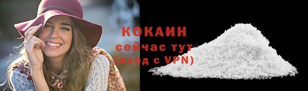 сатива Армянск