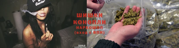 спиды Аркадак