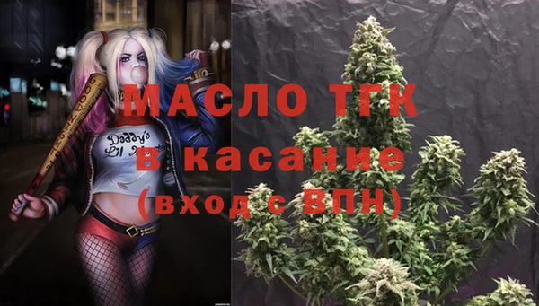 сатива Армянск