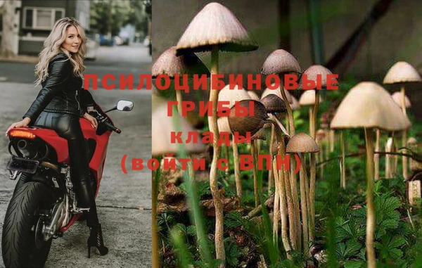спиды Аркадак