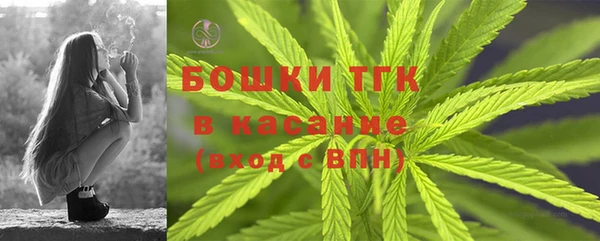 спиды Аркадак
