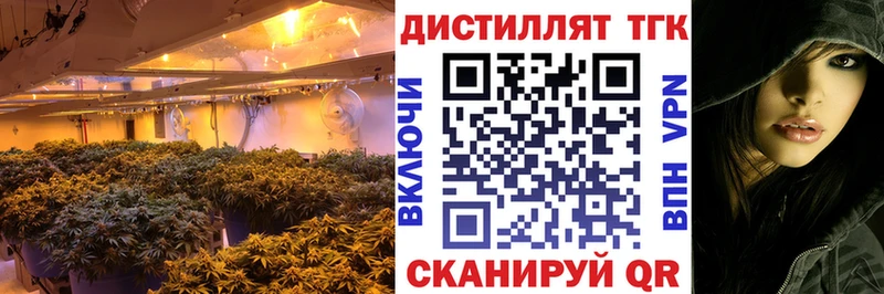 Дистиллят ТГК THC oil  хочу   Сасово 